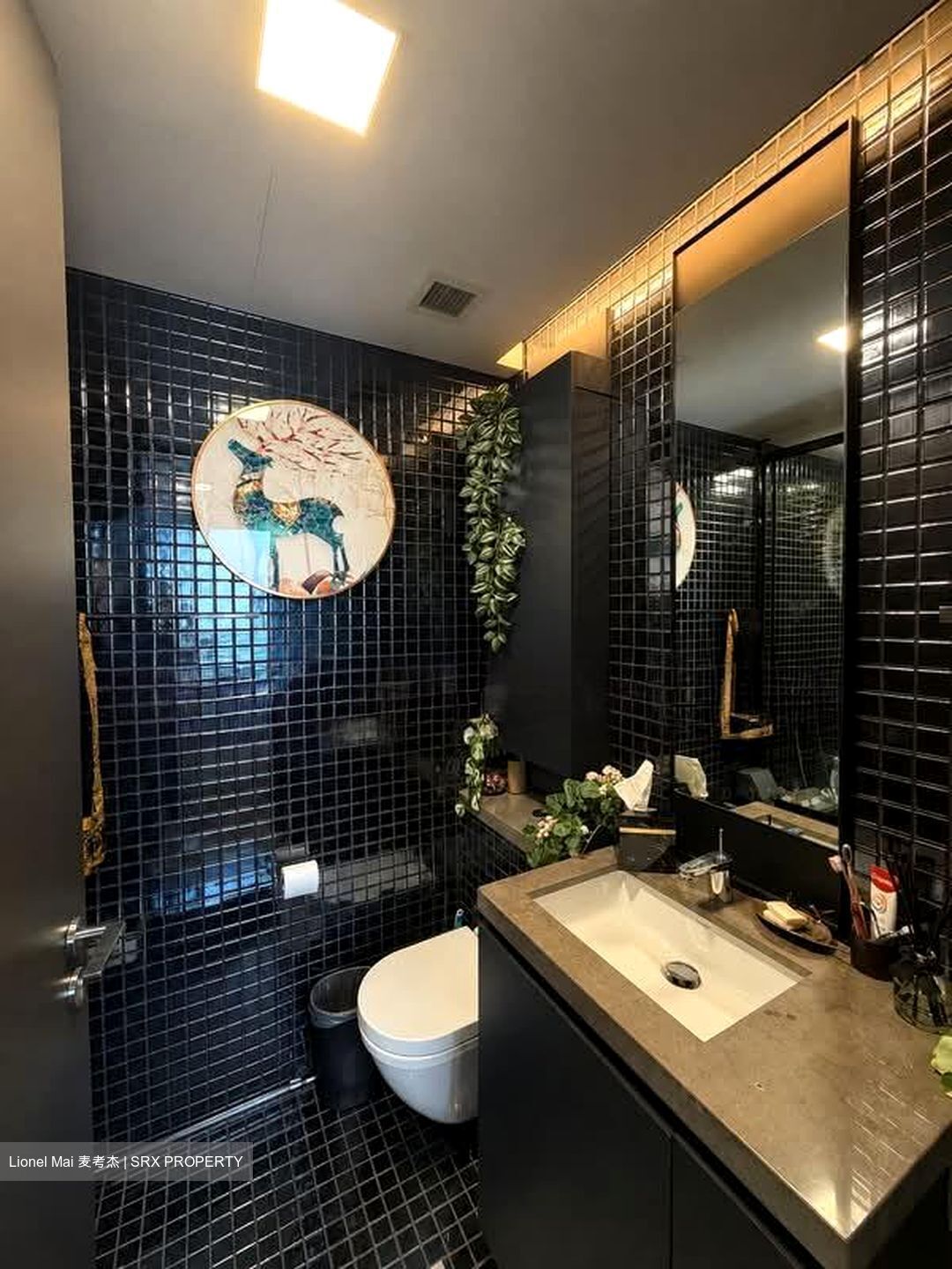 Skysuites@Anson (D2), Apartment #598706201